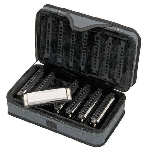 Hohner Road Kit Borsa Gig Imbottita Per Fisarmonica – Con Cinghie Ergoline E Panno
