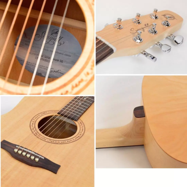 Godin Seagull Excursion - Image 5