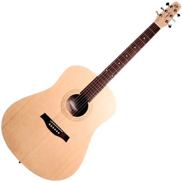 Godin Seagull Excursion