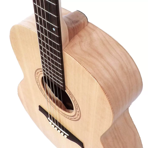 Godin Seagull Excursion - Image 3