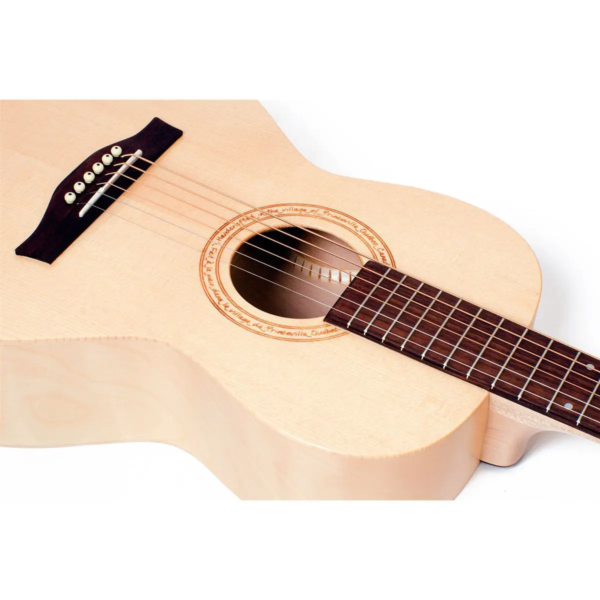 Godin Seagull Excursion - Image 4