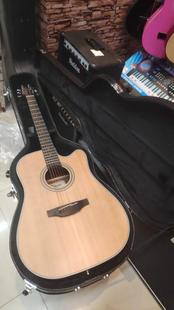 Takamine GD20 + Case + correia
