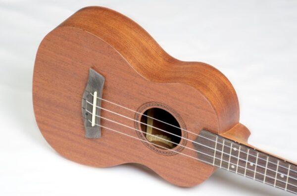 UKULELE STRINBERG UK06C MGS FOSCO CONCERTO - Image 2
