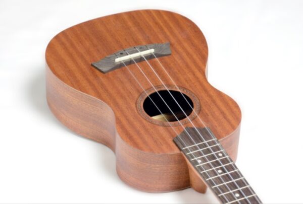 UKULELE STRINBERG UK06C MGS FOSCO CONCERTO - Image 3