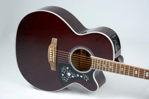 VIOLAO TAKAMINE GN75CE WR & TK40D - Image 3