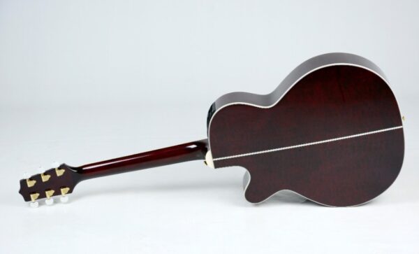 VIOLAO TAKAMINE GN75CE WR & TK40D - Image 4