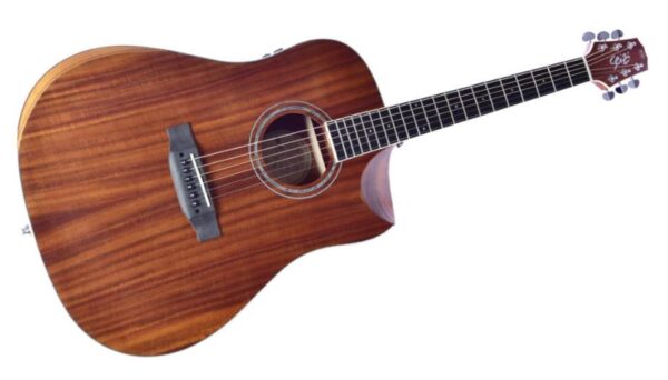 VIOLAO ELET ACUSTICO SEIZI NEO AKIRA HALF CUTAWAY MIRAI LTD ED - KOA - Image 4
