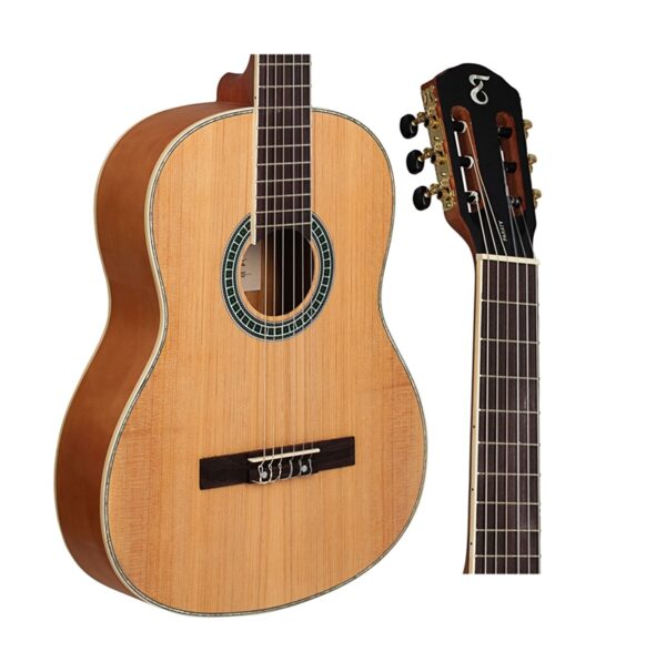 VIOLAO TAGIMA PARATY NYLON NTS - Image 2