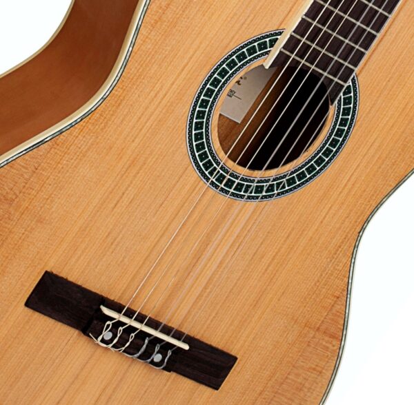 VIOLAO TAGIMA PARATY NYLON NTS - Image 3