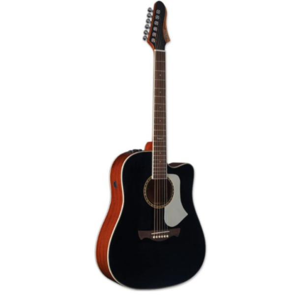VIOLÃO FOLK EQ AÇO SPRUCE SOLIDO SWELL DELUXE BK TAGIMA C/BAG
