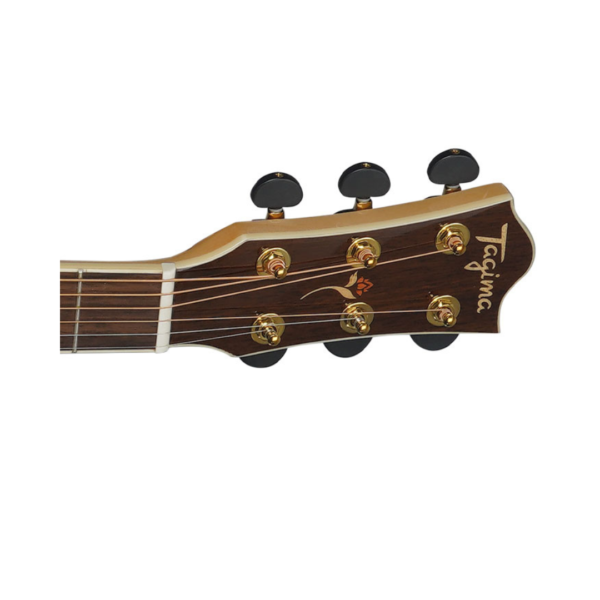 TAGIMA FLORENS FS-250 NC EQ DREADNOUGHT - Image 3