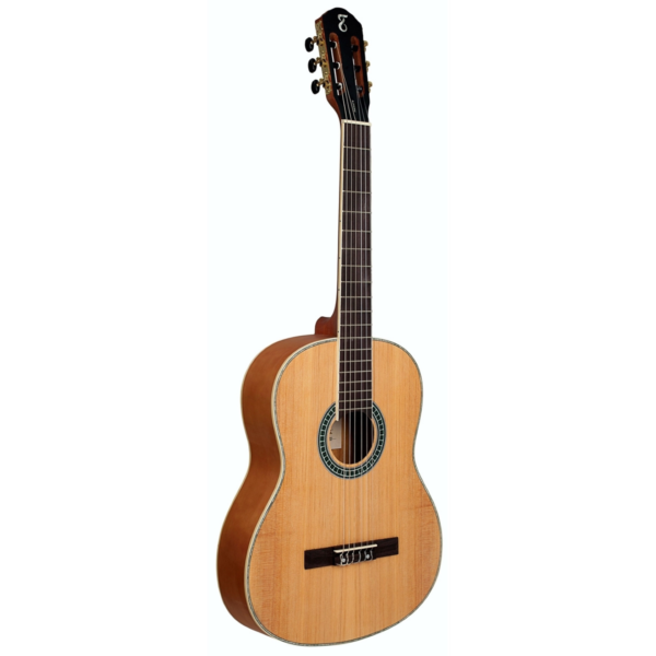 VIOLAO TAGIMA PARATY NYLON NTS