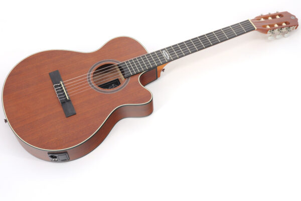 VIOLAO STRINBERG SL200C MGS FLAT NYLON FOSCO - Image 5