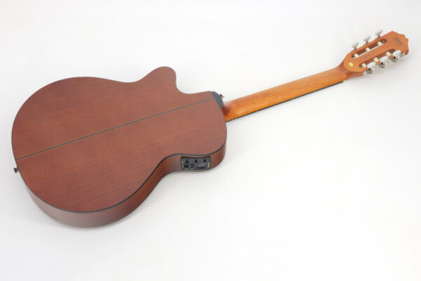 VIOLAO STRINBERG SL200C MGS FLAT NYLON FOSCO - Image 6