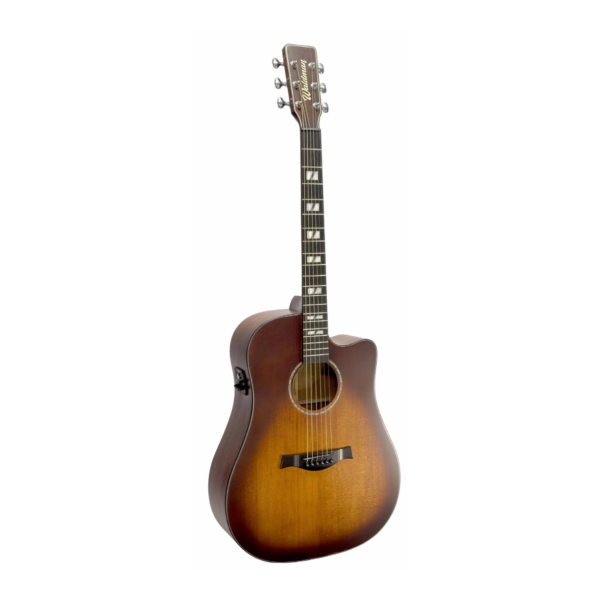 Violão folk Waldman Dcex 2041Amb com bag