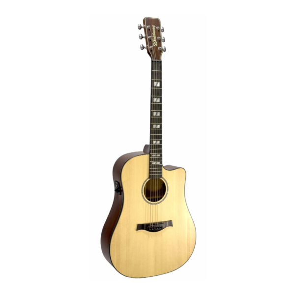 Violão folk Waldman Dcex 2041 N com bag
