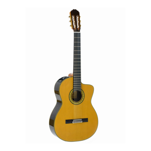 Violão Takamine Japonês EH5C Nylon Com Semi Case