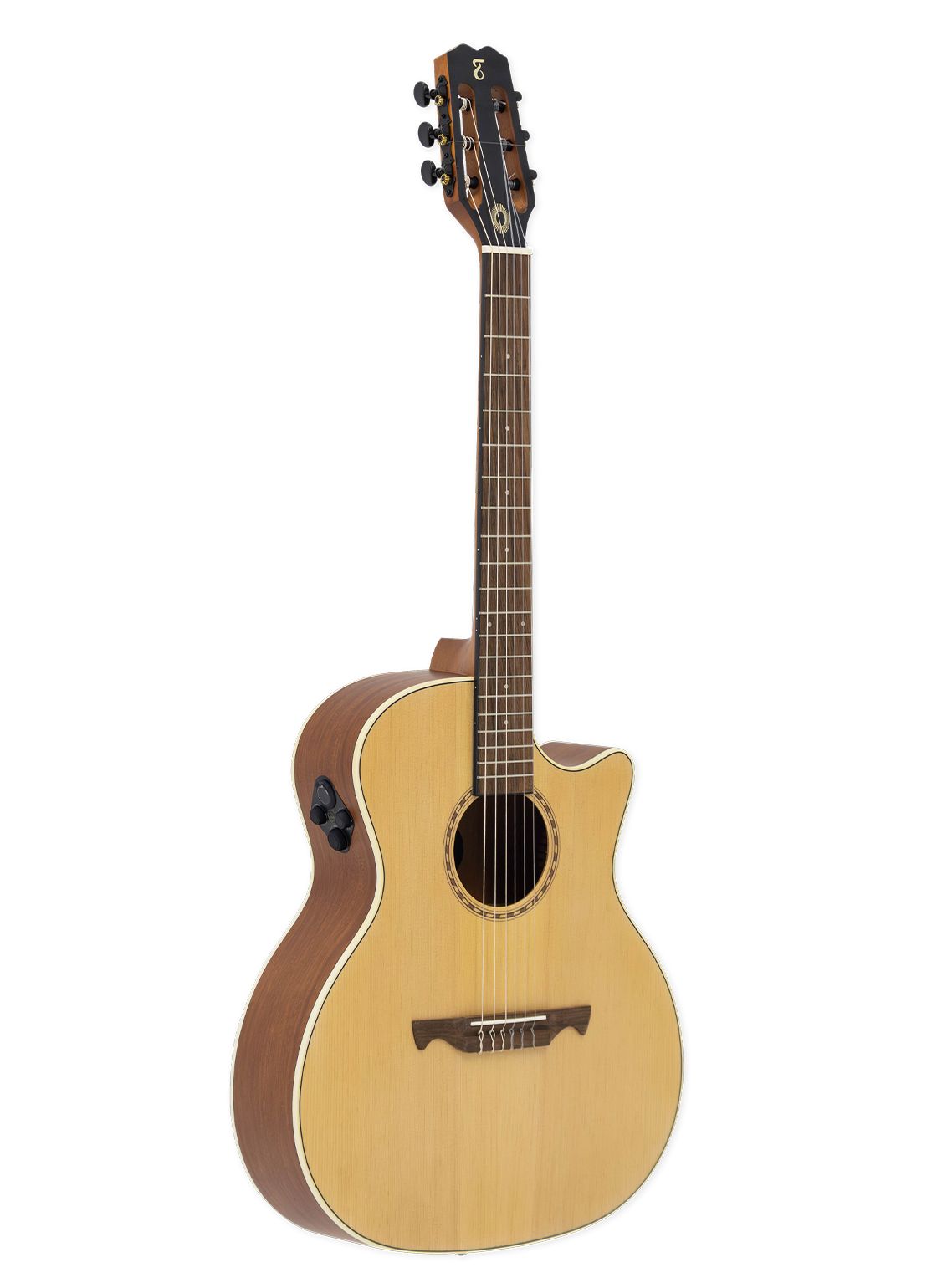 VIOLAO MEDIUM JUMBO EQ NYLON ECHOS NTOP TAGIMA.