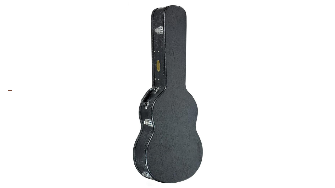 CASE STRINBERG VIOLAO CLASSICO WSC