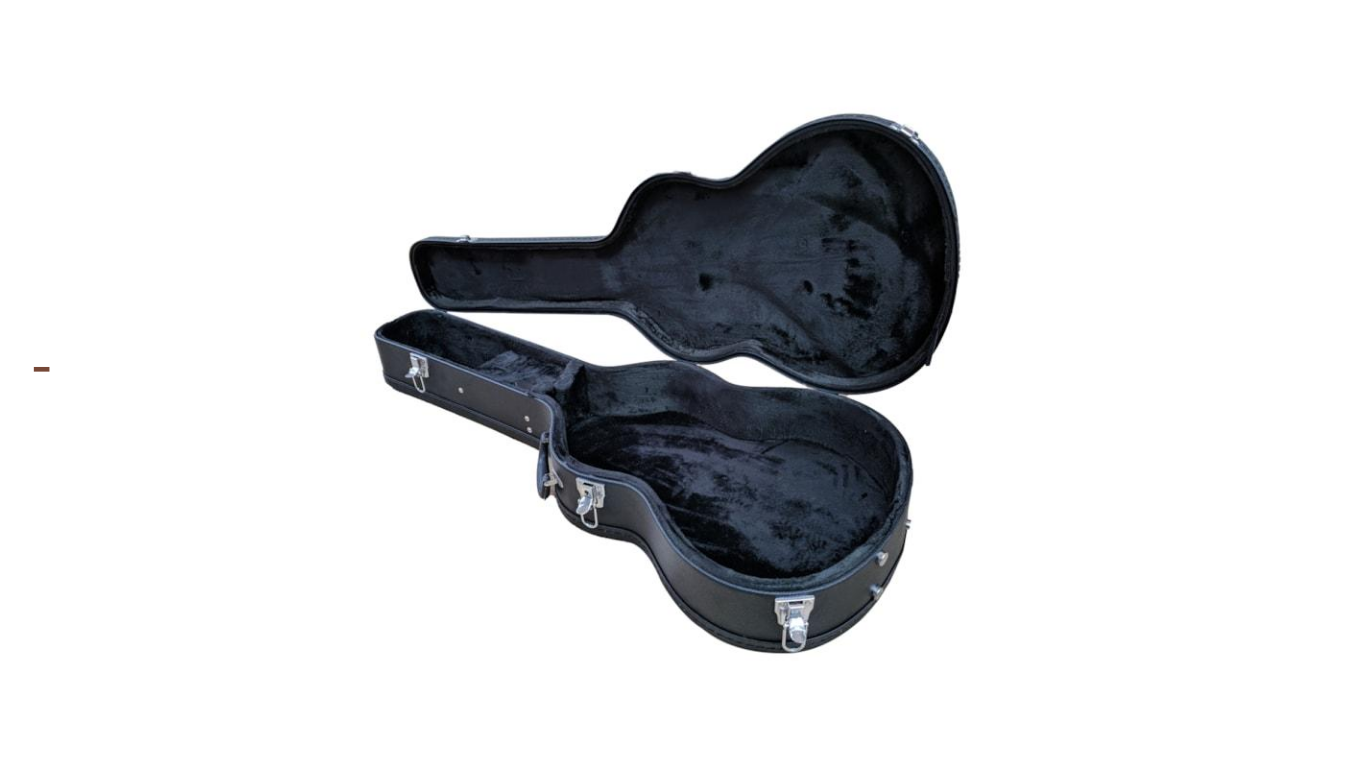 CASE STRINBERG VIOLAO FOLK WSD - Image 3