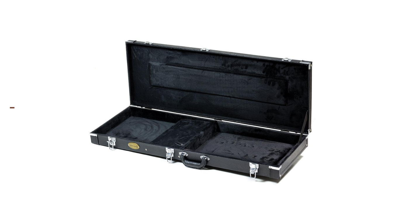 CASE STRINBERG GUITARRA WSG - Image 2